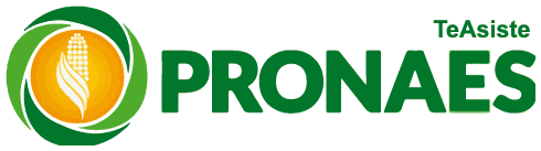 PRONAES