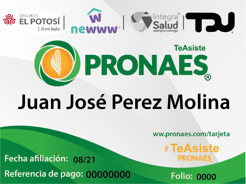 Tarjeta TeAsistePRONAES